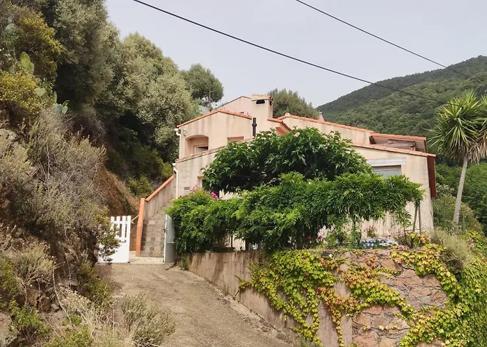 Apartmán Rose Corse