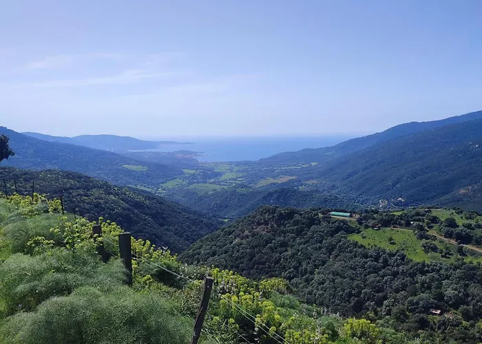 Rose Corse * Santa-Maria-Figaniella