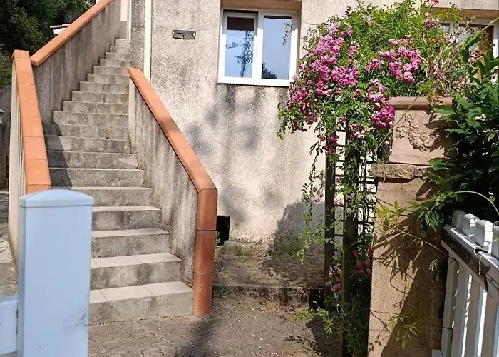 Rose Corse Apartmán