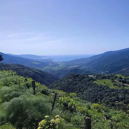 Rose Corse * Santa-Maria-Figaniella