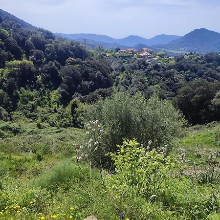 Apartment Rose Corse Santa-Maria-Figaniella