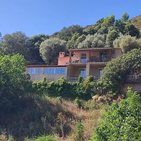 Rose Corse Appartement Santa-Maria-Figaniella