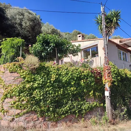 Lägenhet Rose Corse Santa-Maria-Figaniella