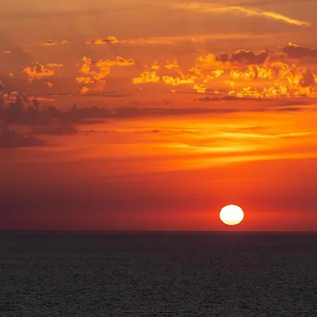 Appartement Rose Corse