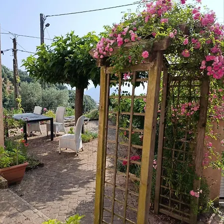 Lägenhet Rose Corse Santa-Maria-Figaniella