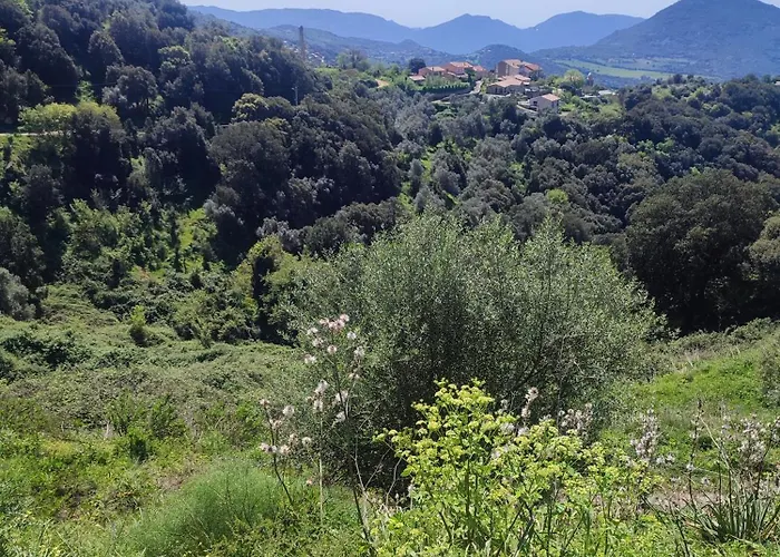 Apartment Rose Corse Santa-Maria-Figaniella