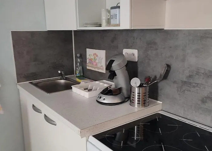 Rose Corse Santa-Maria-Figaniella