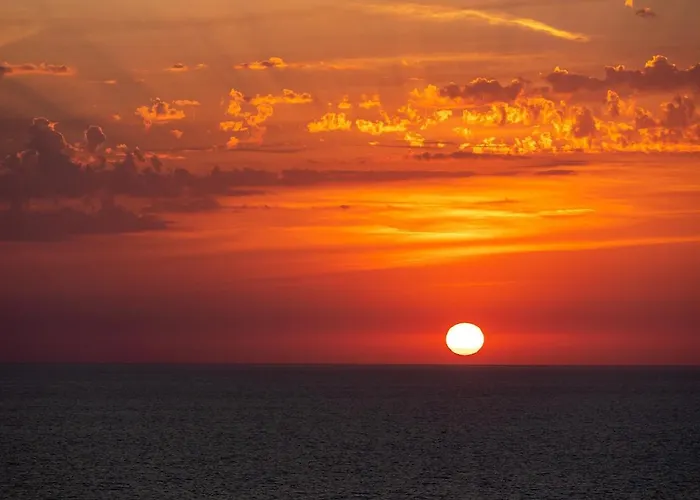 Apartment Rose Corse