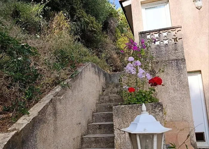 Apartment Rose Corse