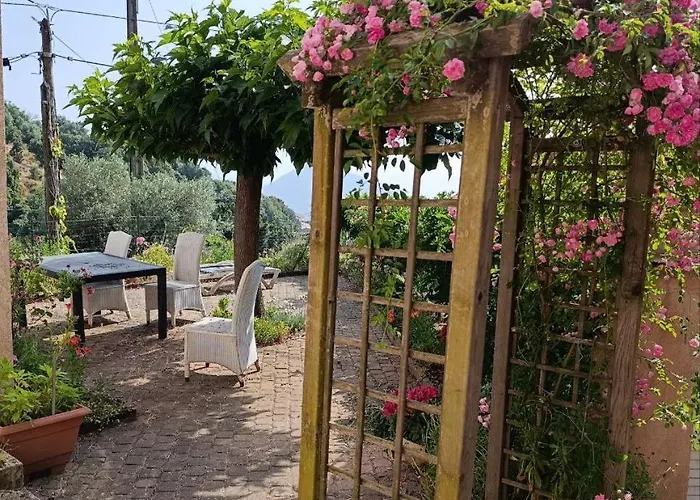 Appartement Rose Corse Santa-Maria-Figaniella